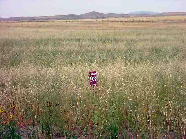 Three Forks Mount Three Forks, MT 59752 - Photo 1 of 1 Gallery Image 1
