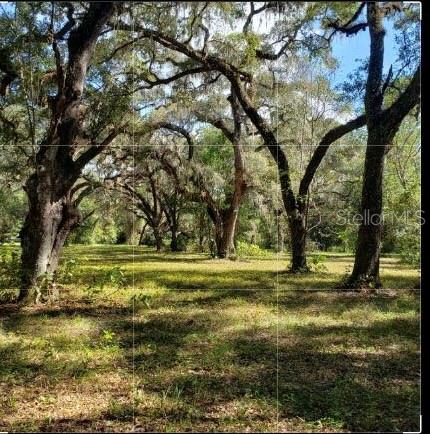 0 Phillips Road Brooksville, FL 34604 - Photo 1 of 1 Gallery Image 1