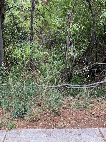 a backyard of a house with lots of green space