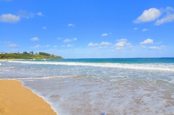 4864 A Laipo Road, Unit 2 Kapaa, HI 96746 - Photo 5 of 25 Gallery Image 5