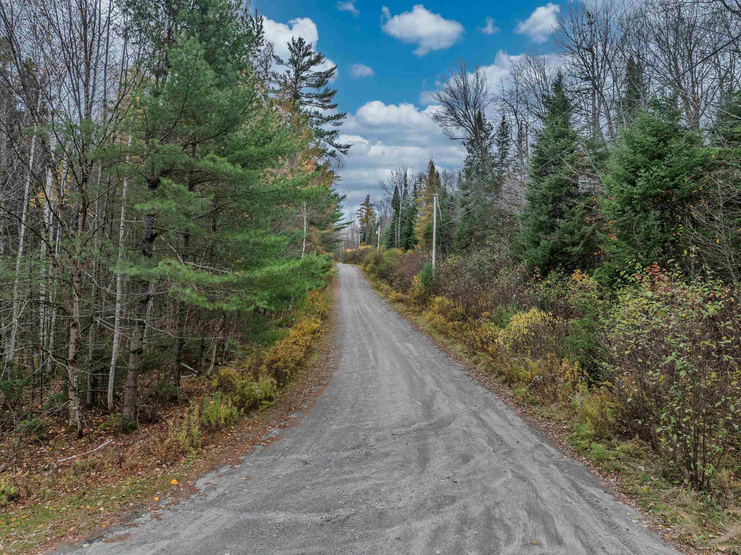 359 Bickford Hill Road Franconia, NH 03580 - Photo 11 of 48
