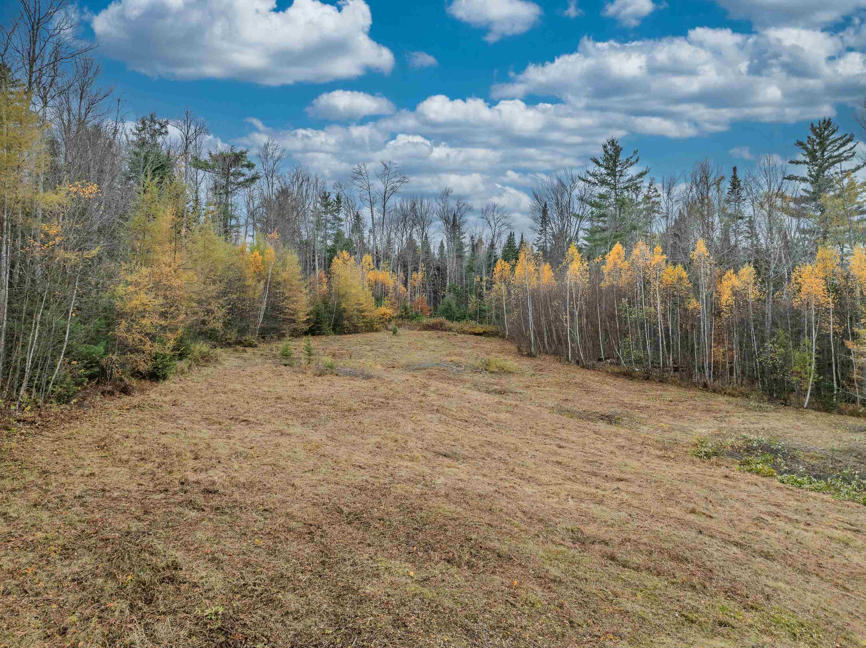 359 Bickford Hill Road Franconia, NH 03580 - Photo 16 of 48