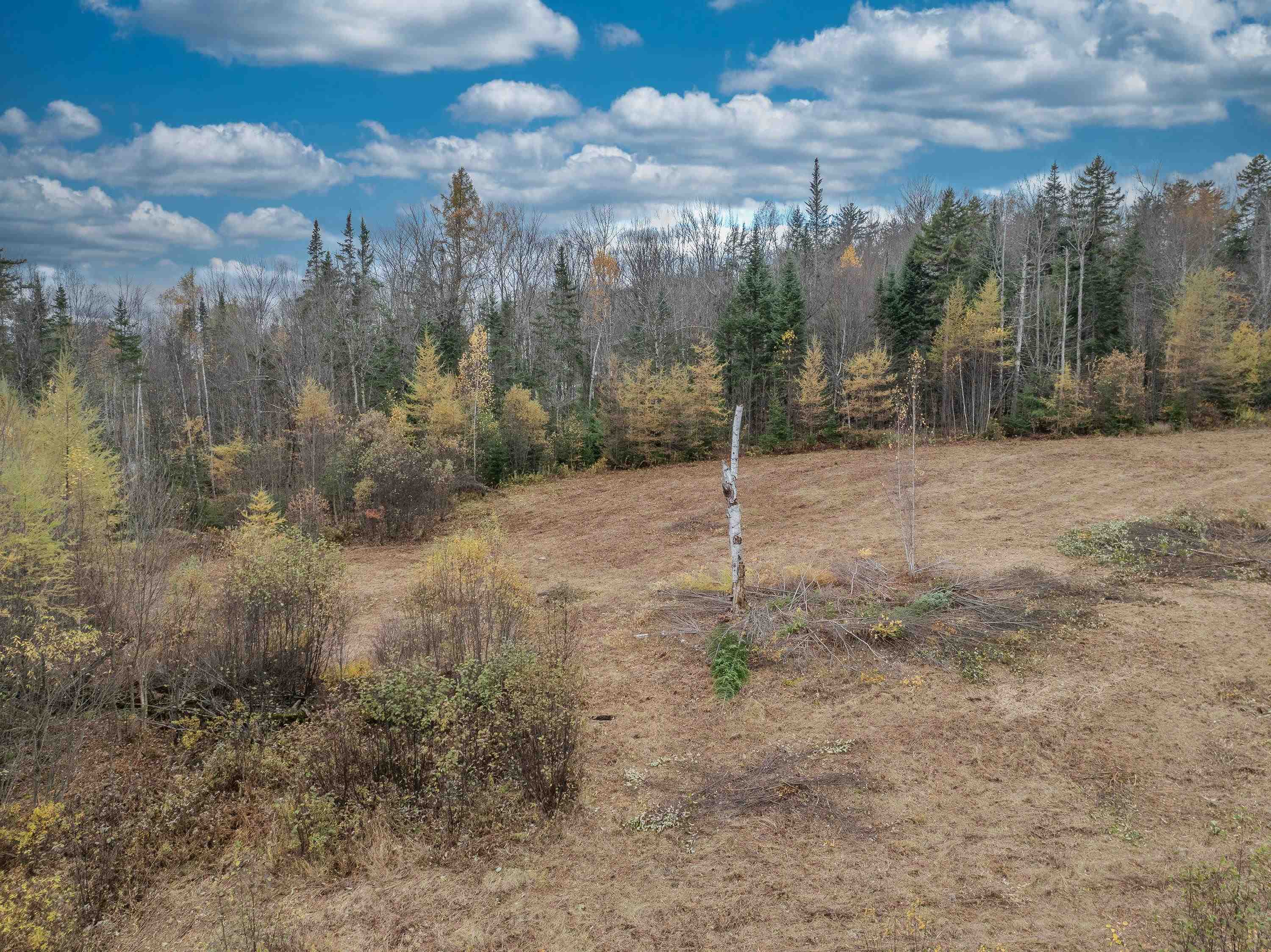 359 Bickford Hill Road Franconia, NH 03580 - Photo 28 of 48