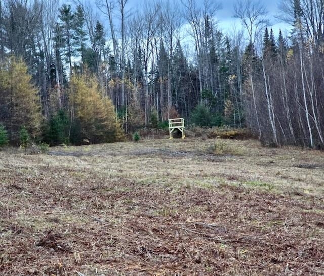 359 Bickford Hill Road Franconia, NH 03580 - Photo 29 of 48