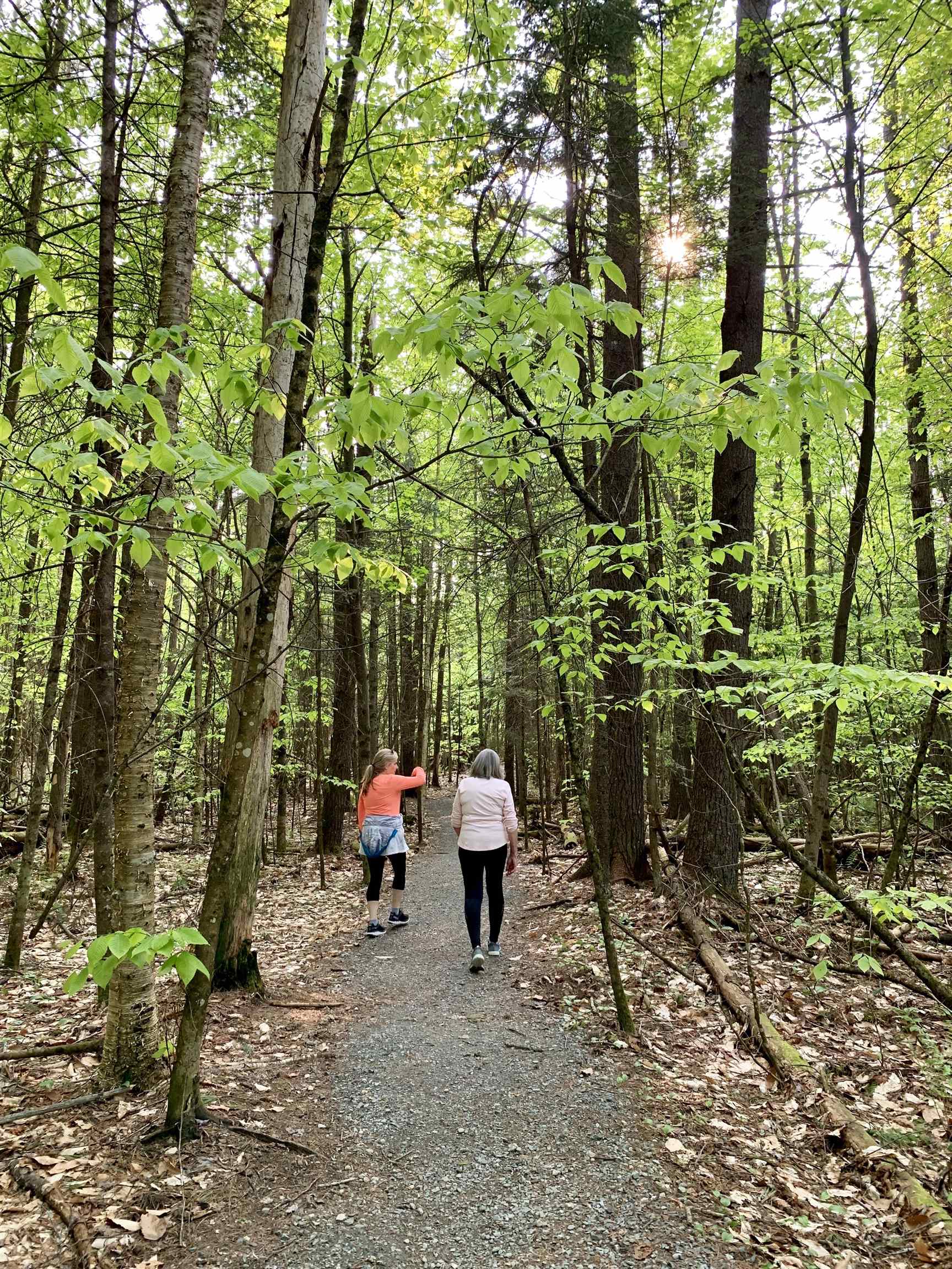 359 Bickford Hill Road Franconia, NH 03580 - Photo 45 of 48