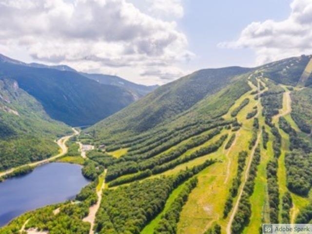 359 Bickford Hill Road Franconia, NH 03580 - Photo 46 of 48