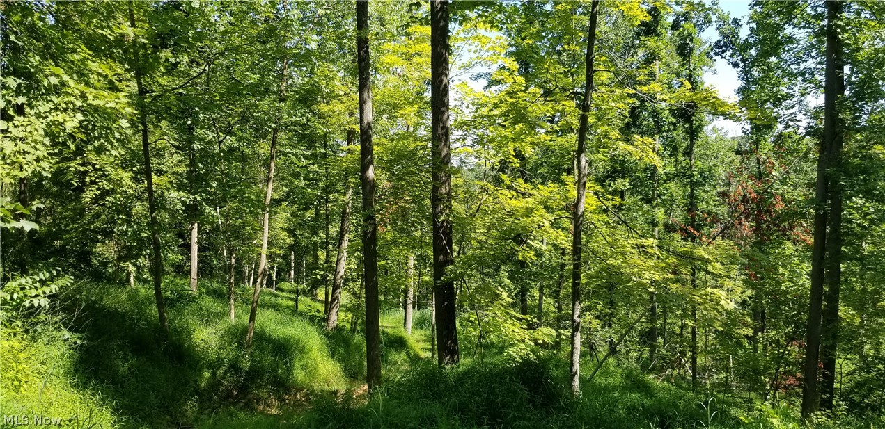 Narrows Road Dresden, OH 43821 - Photo 17 of 35