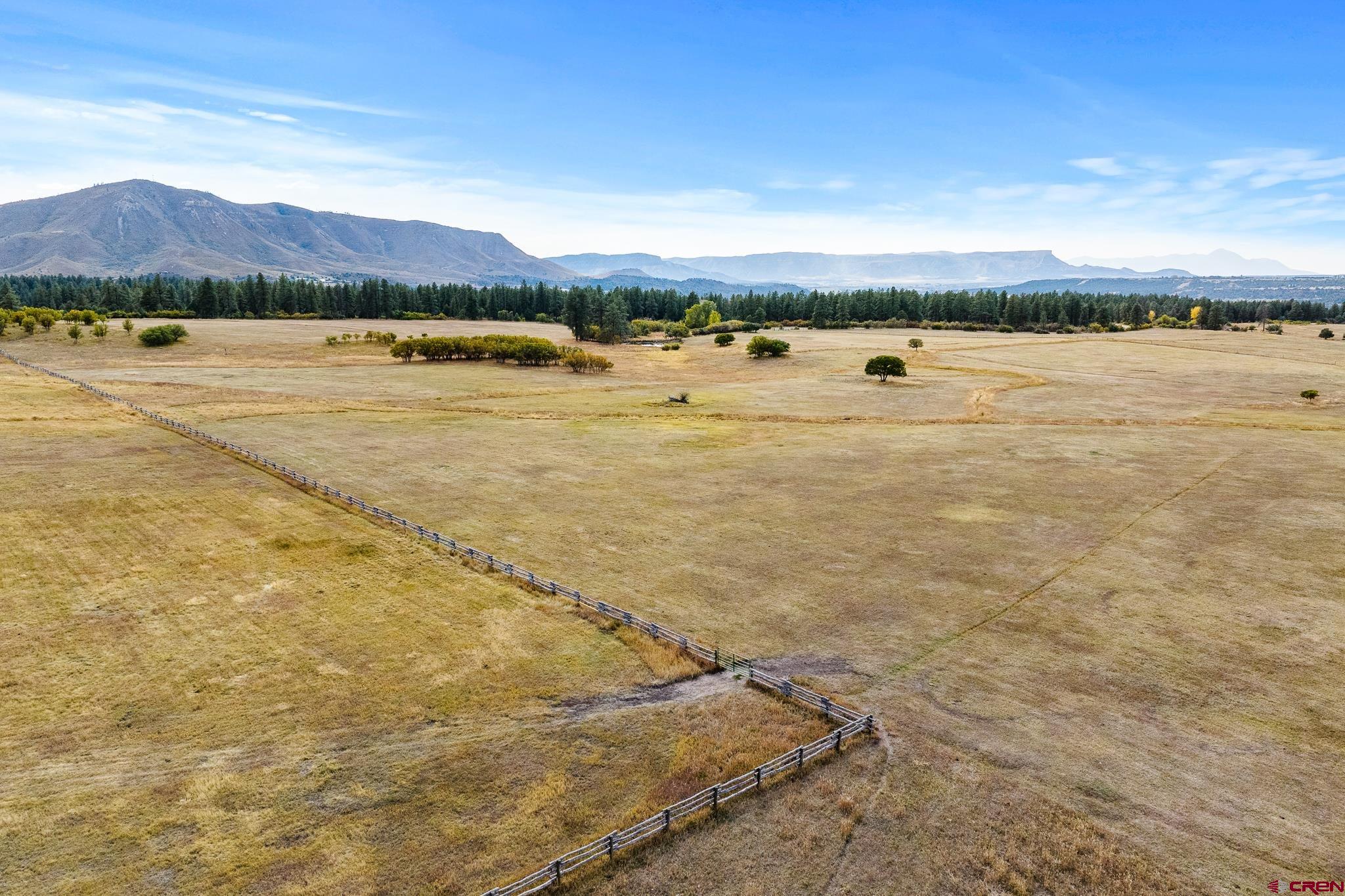 45501 Rd L Mancos, CO 81328 - Photo 5 of 45