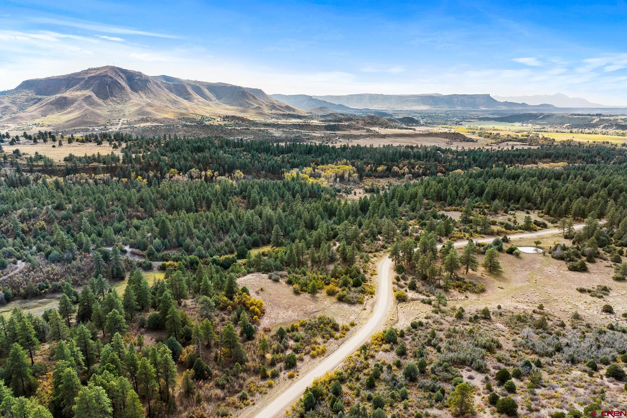 45501 Rd L Mancos, CO 81328 - Photo 8 of 45