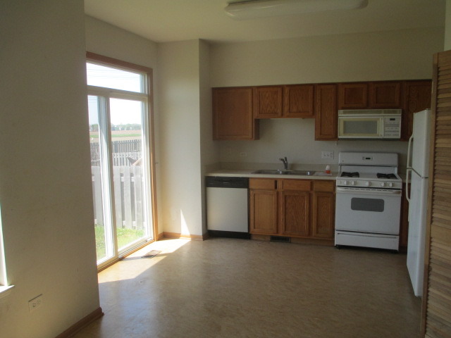 403 Alyssa Street Plano, IL 60545 - Photo 9 of 14