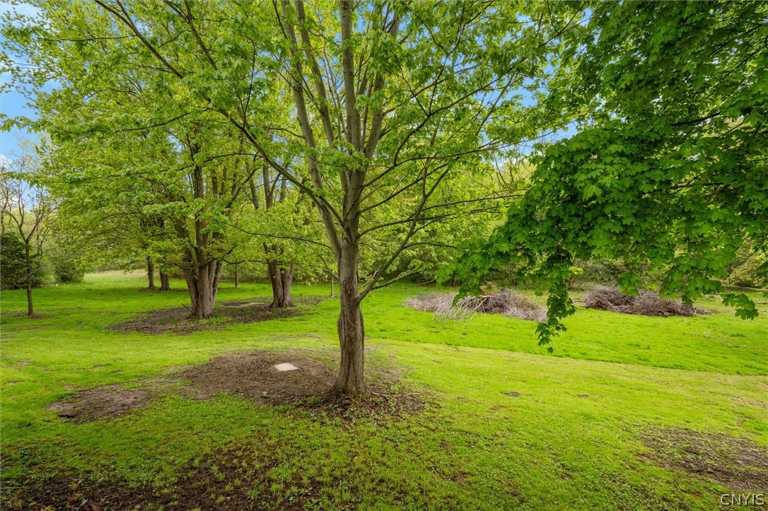 6982 Webster Road Auburn, NY 13021 - Photo 6 of 35