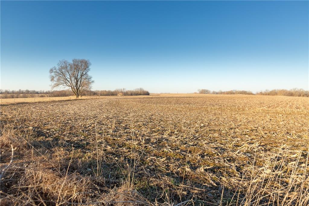 52 Southwest 401st Road Centerview, MO 64019 - Photo 13 of 62