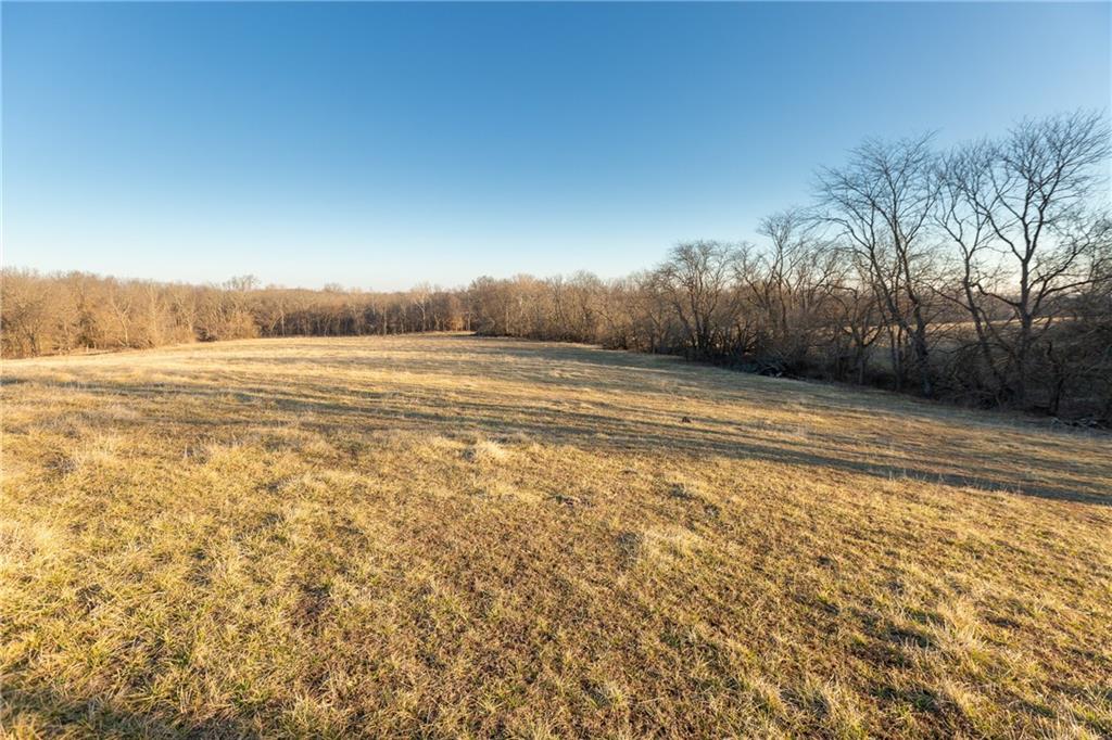 52 Southwest 401st Road Centerview, MO 64019 - Photo 15 of 62