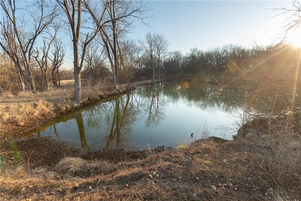 52 Southwest 401st Road Centerview, MO 64019 - Photo 16 of 62