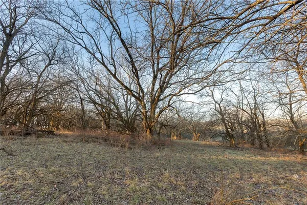 $568,750 | 52 Southwest 401st Road, Centerview, MO 64019