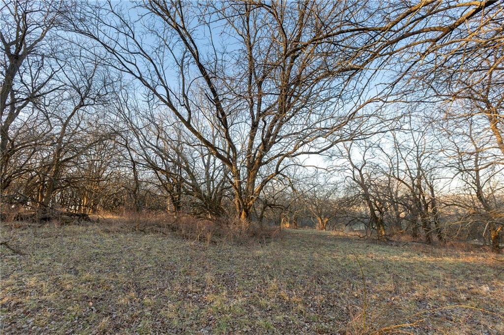 52 Southwest 401st Road Centerview, MO 64019 - Photo 20 of 62