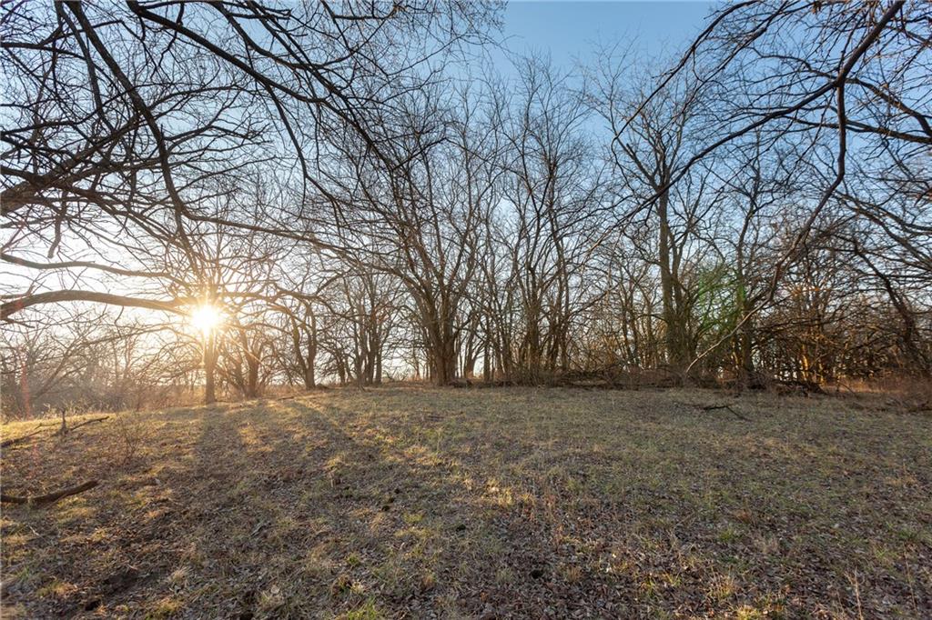 52 Southwest 401st Road Centerview, MO 64019 - Photo 21 of 62