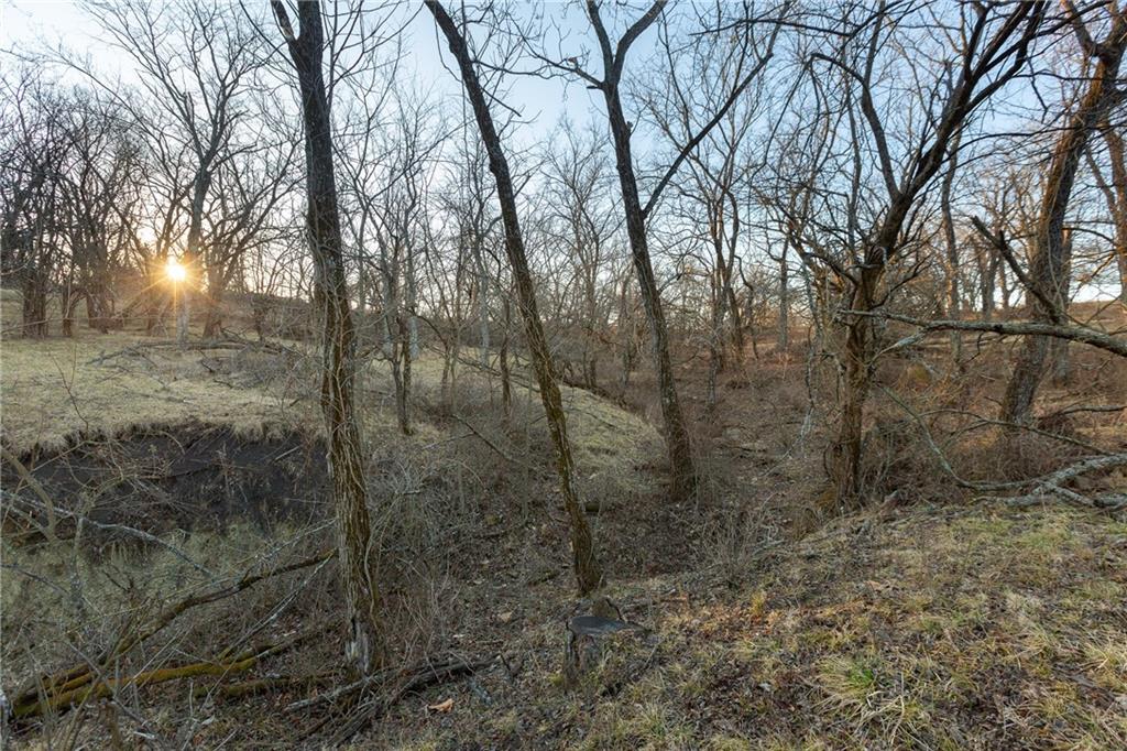 52 Southwest 401st Road Centerview, MO 64019 - Photo 24 of 62