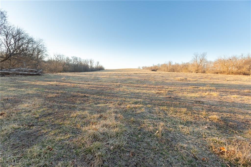 52 Southwest 401st Road Centerview, MO 64019 - Photo 27 of 62