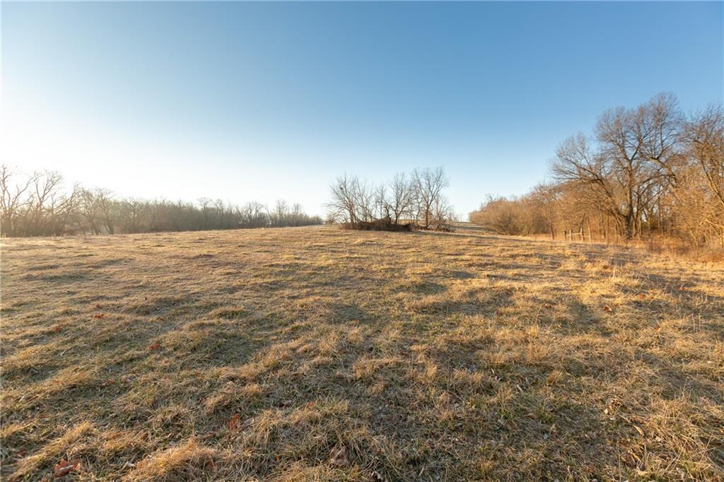 52 Southwest 401st Road Centerview, MO 64019 - Photo 30 of 62