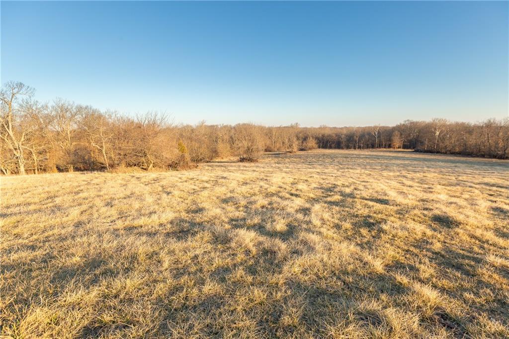 52 Southwest 401st Road Centerview, MO 64019 - Photo 31 of 62