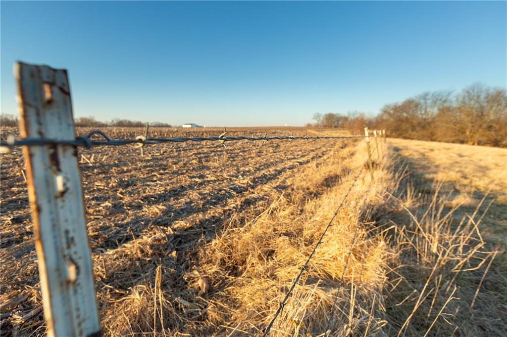 52 Southwest 401st Road Centerview, MO 64019 - Photo 35 of 62