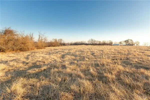 $568,750 | 52 Southwest 401st Road, Centerview, MO 64019