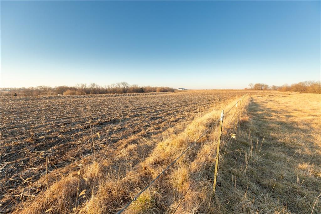 52 Southwest 401st Road Centerview, MO 64019 - Photo 39 of 62