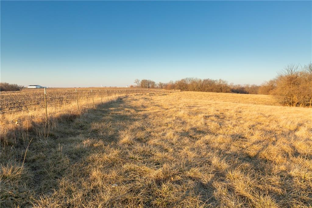 52 Southwest 401st Road Centerview, MO 64019 - Photo 40 of 62