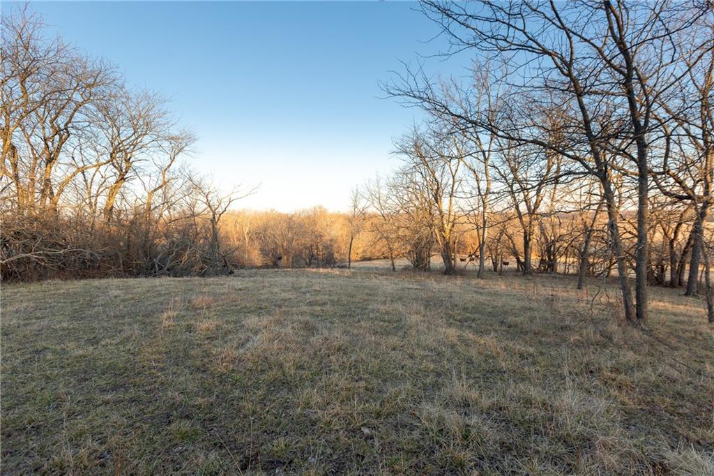 52 Southwest 401st Road Centerview, MO 64019 - Photo 43 of 62