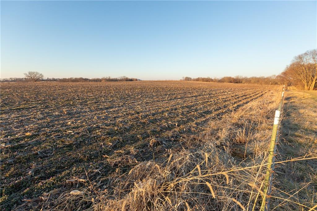 52 Southwest 401st Road Centerview, MO 64019 - Photo 55 of 62