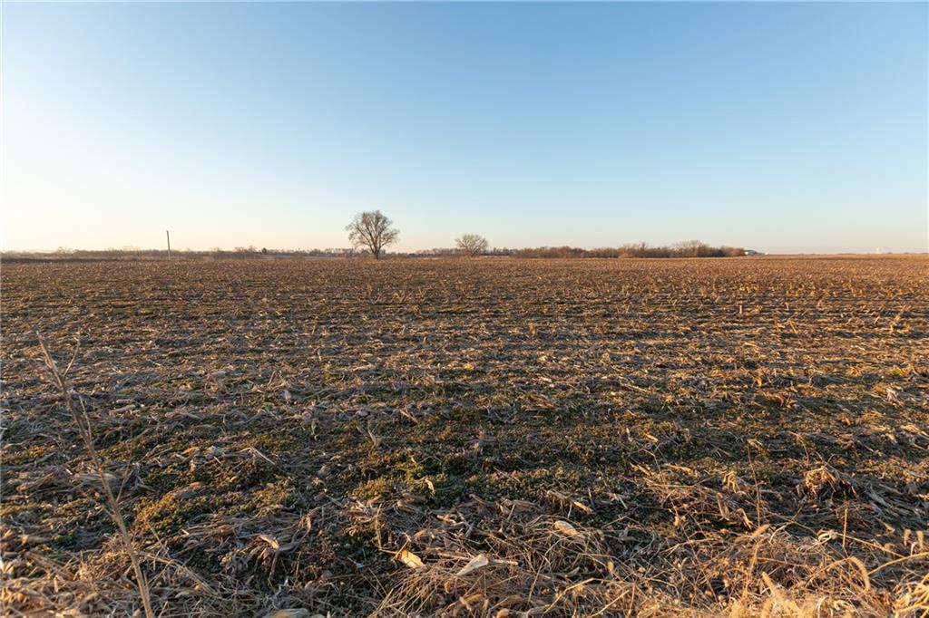 52 Southwest 401st Road Centerview, MO 64019 - Photo 56 of 62