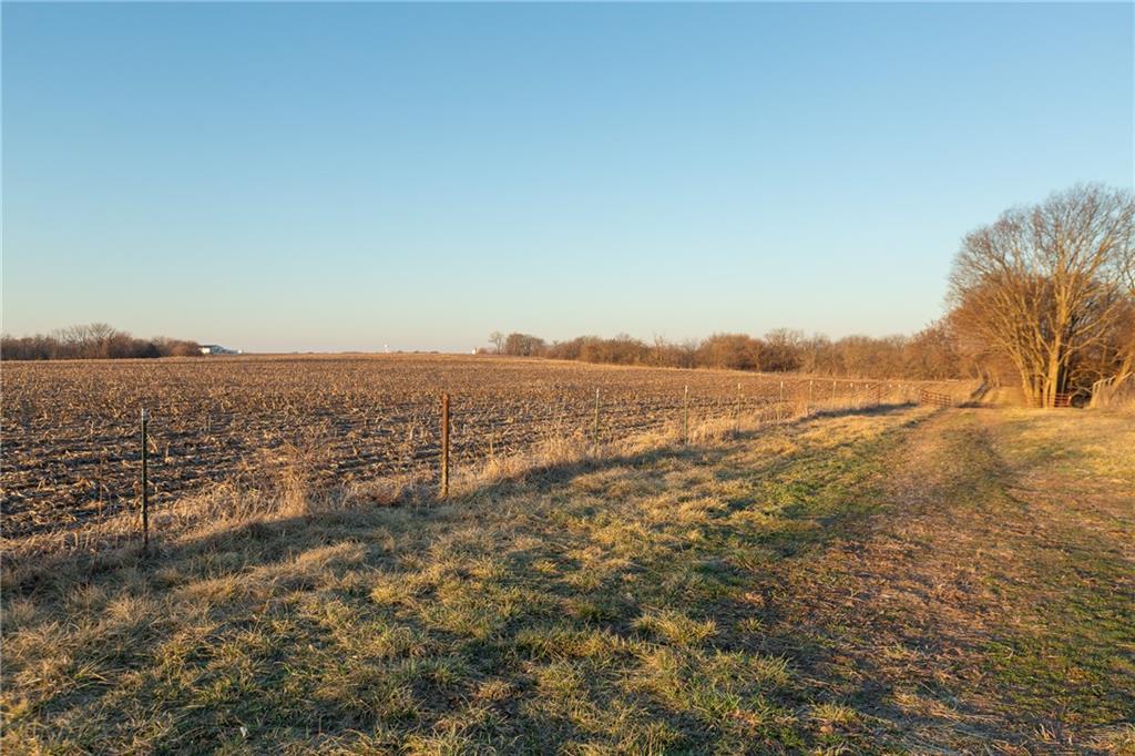 52 Southwest 401st Road Centerview, MO 64019 - Photo 59 of 62