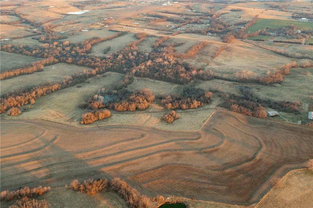 52 Southwest 401st Road Centerview, MO 64019 - Photo 7 of 62