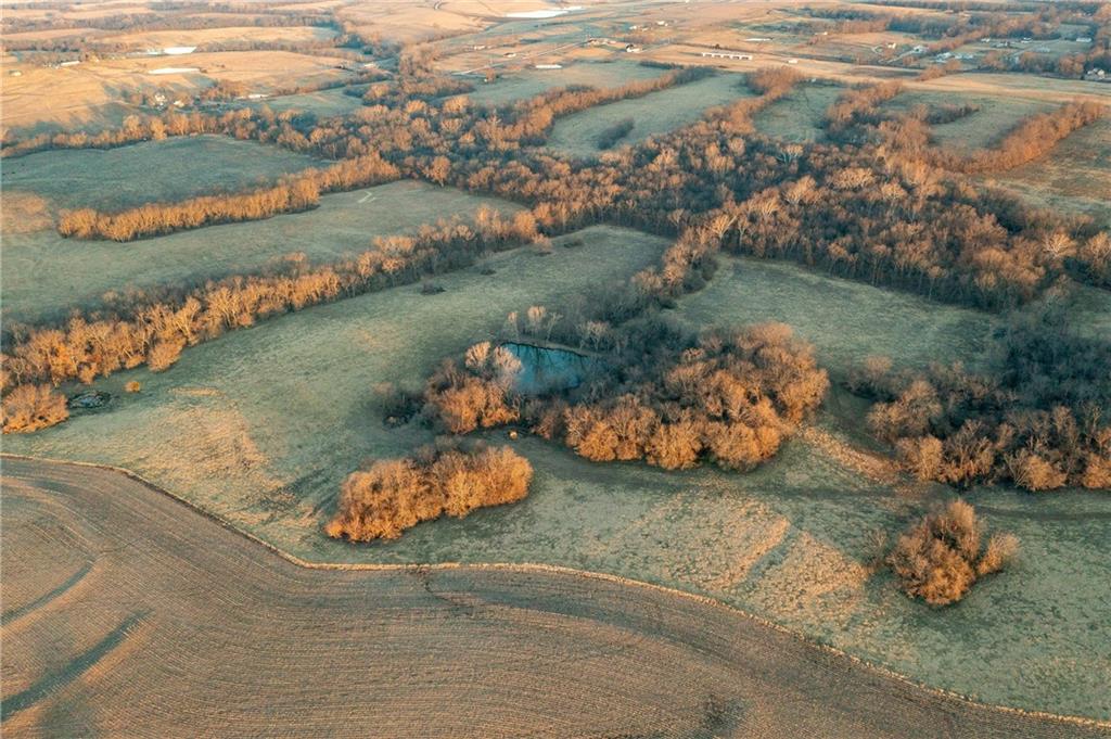 52 Southwest 401st Road Centerview, MO 64019 - Photo 9 of 62