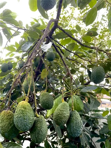 $435,000 | 1354 Tierra Circle, Winter Park, FL 32792