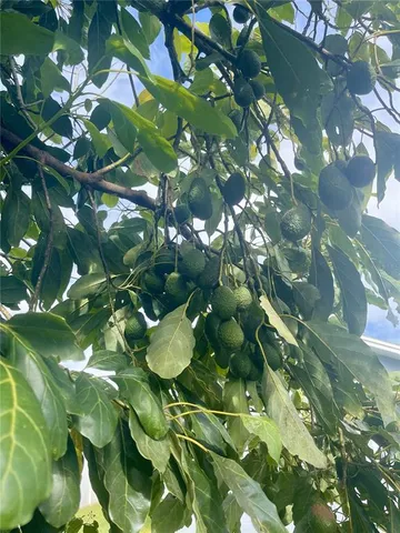 $435,000 | 1354 Tierra Circle, Winter Park, FL 32792