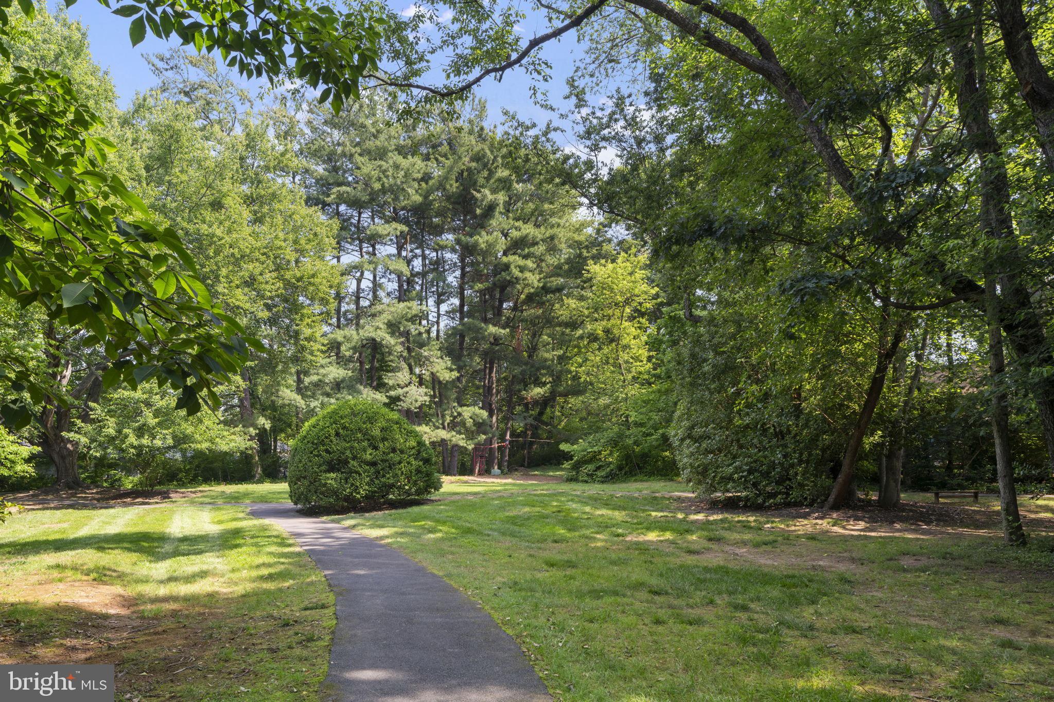 11587 Maple Ridge Road Reston, VA 20190 - Photo 93 of 119 a view of a yard with a tree
