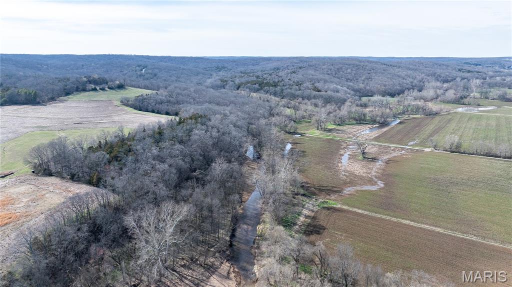 1733 Schluersburg Road Augusta, MO 63332 - Photo 11 of 42