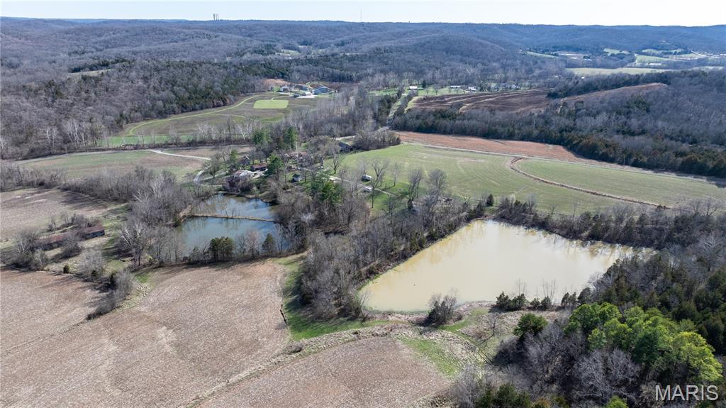 1733 Schluersburg Road Augusta, MO 63332 - Photo 12 of 42