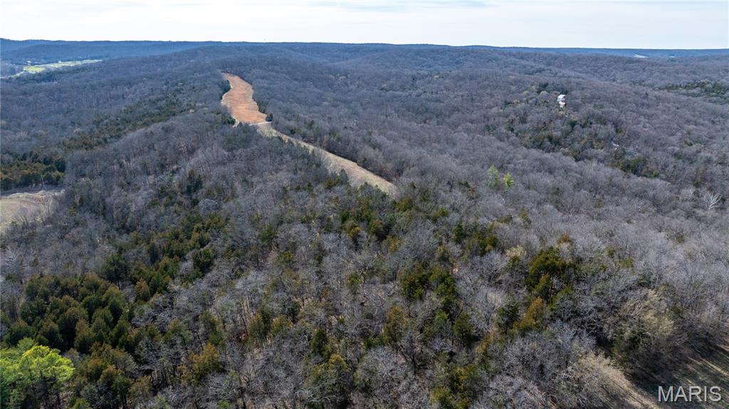 1733 Schluersburg Road Augusta, MO 63332 - Photo 13 of 42