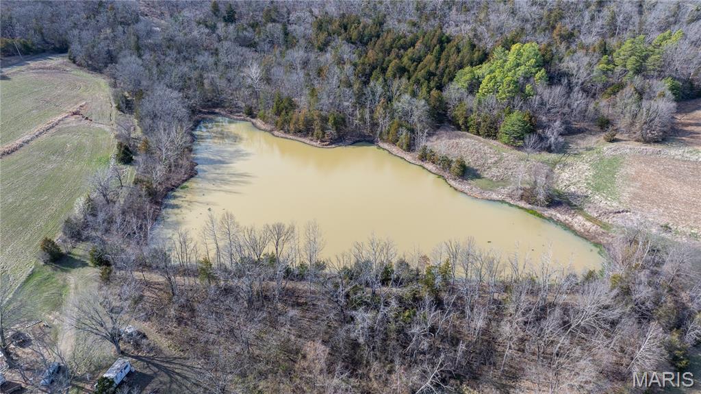 1733 Schluersburg Road Augusta, MO 63332 - Photo 15 of 42