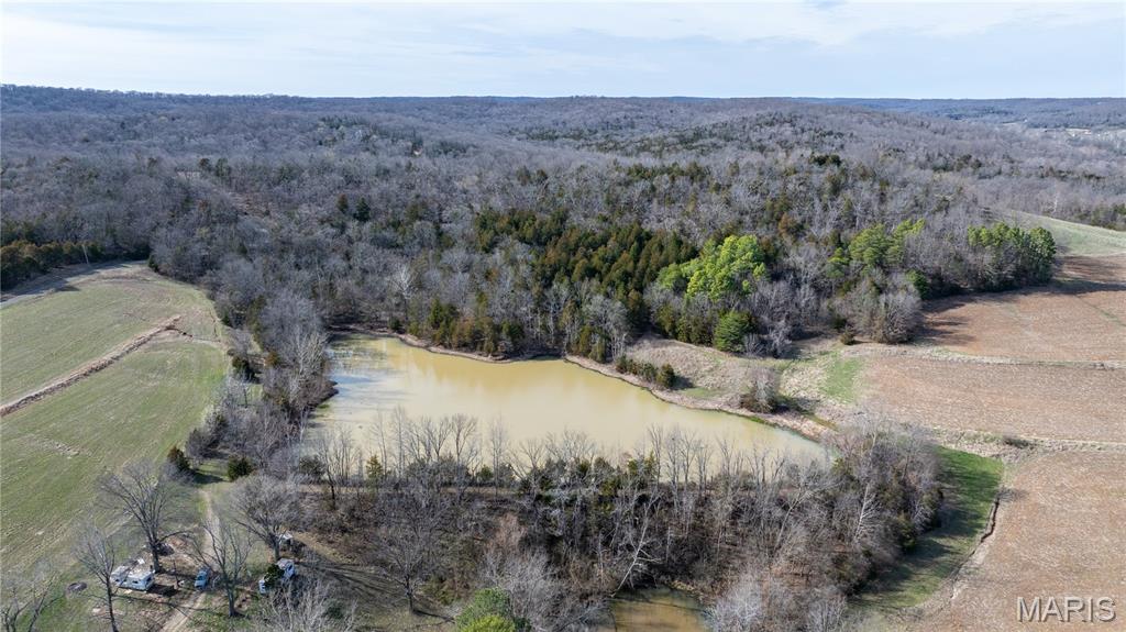 1733 Schluersburg Road Augusta, MO 63332 - Photo 16 of 42