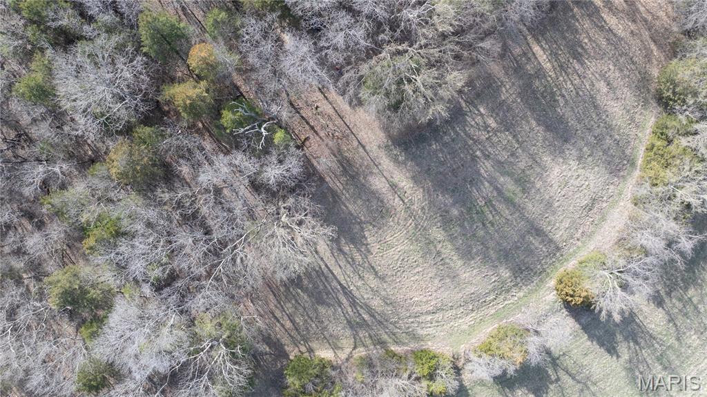 1733 Schluersburg Road Augusta, MO 63332 - Photo 19 of 42