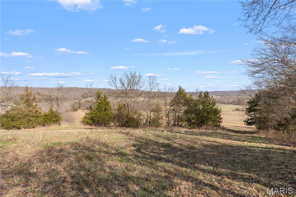 1733 Schluersburg Road Augusta, MO 63332 - Photo 22 of 42