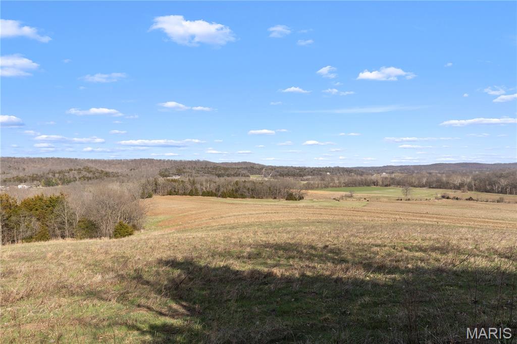 1733 Schluersburg Road Augusta, MO 63332 - Photo 23 of 42