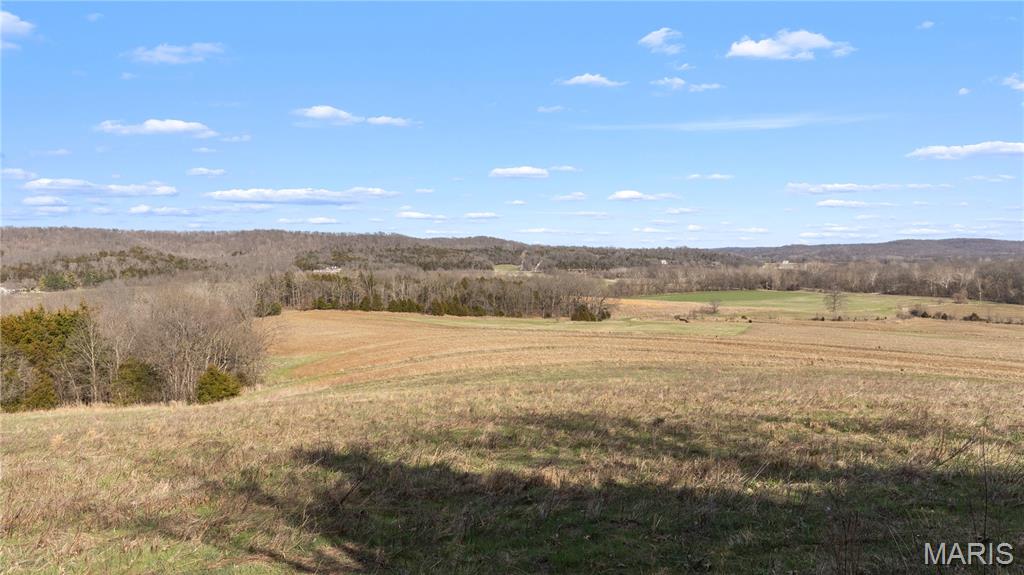 1733 Schluersburg Road Augusta, MO 63332 - Photo 24 of 42