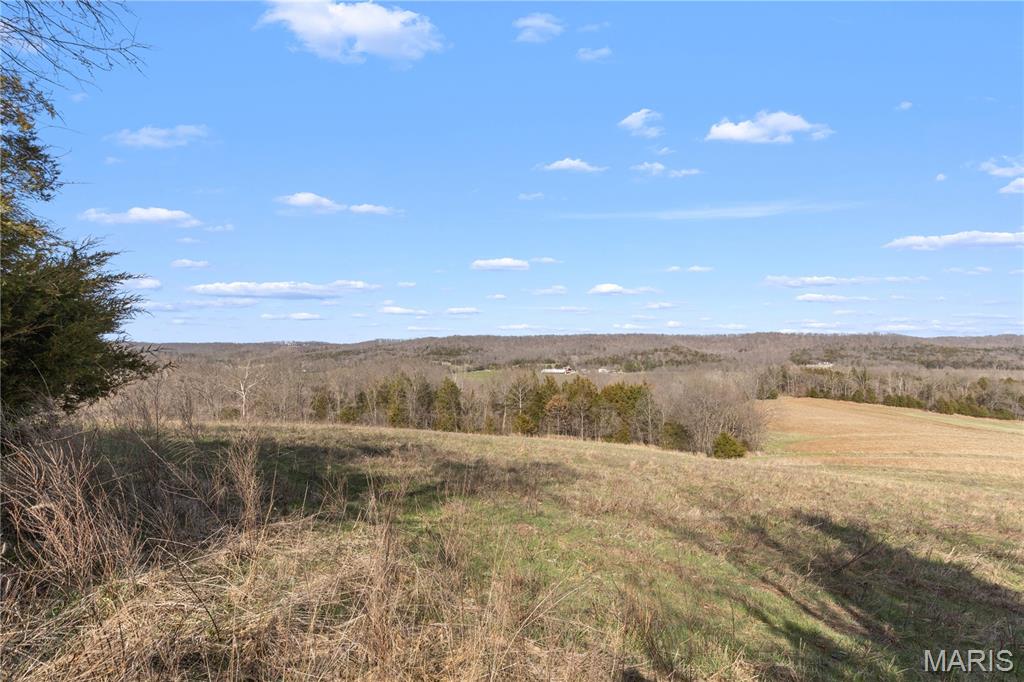 1733 Schluersburg Road Augusta, MO 63332 - Photo 25 of 42