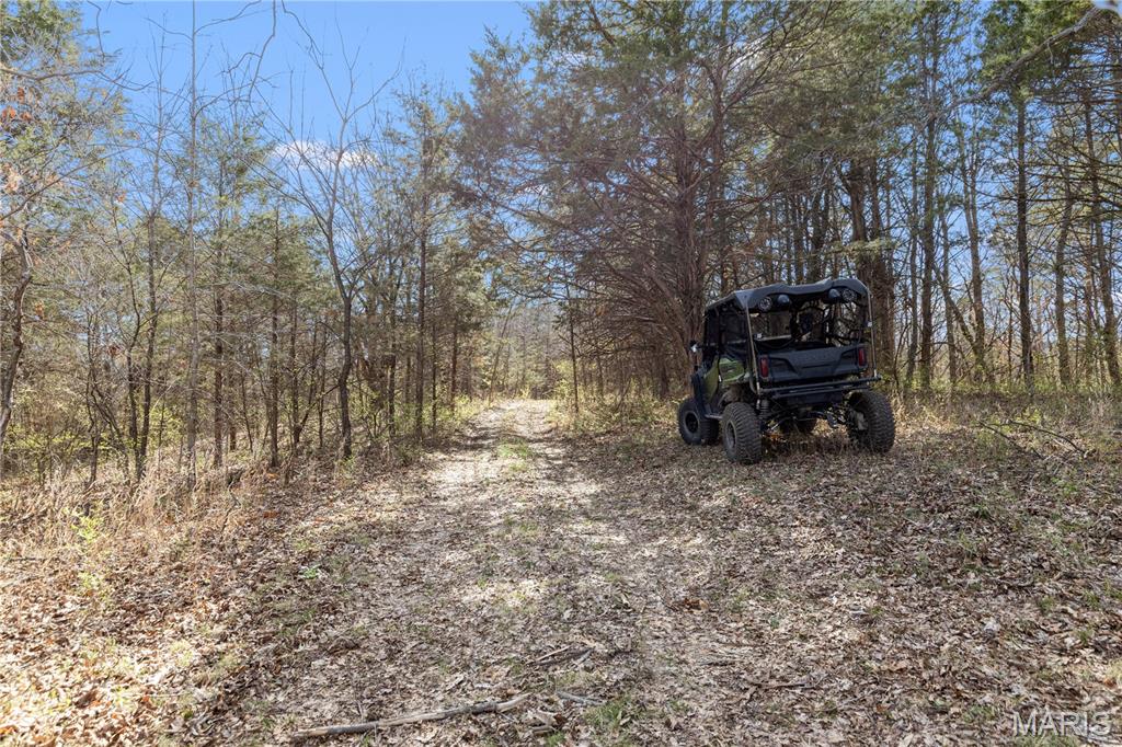 1733 Schluersburg Road Augusta, MO 63332 - Photo 26 of 42