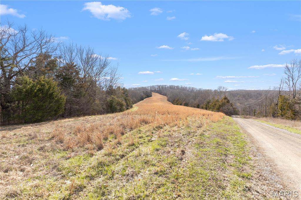 1733 Schluersburg Road Augusta, MO 63332 - Photo 27 of 42